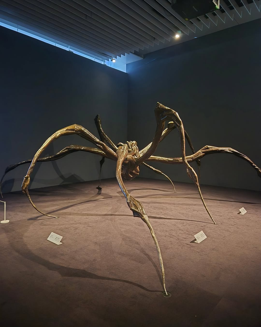 Post image  of Le Sserafim