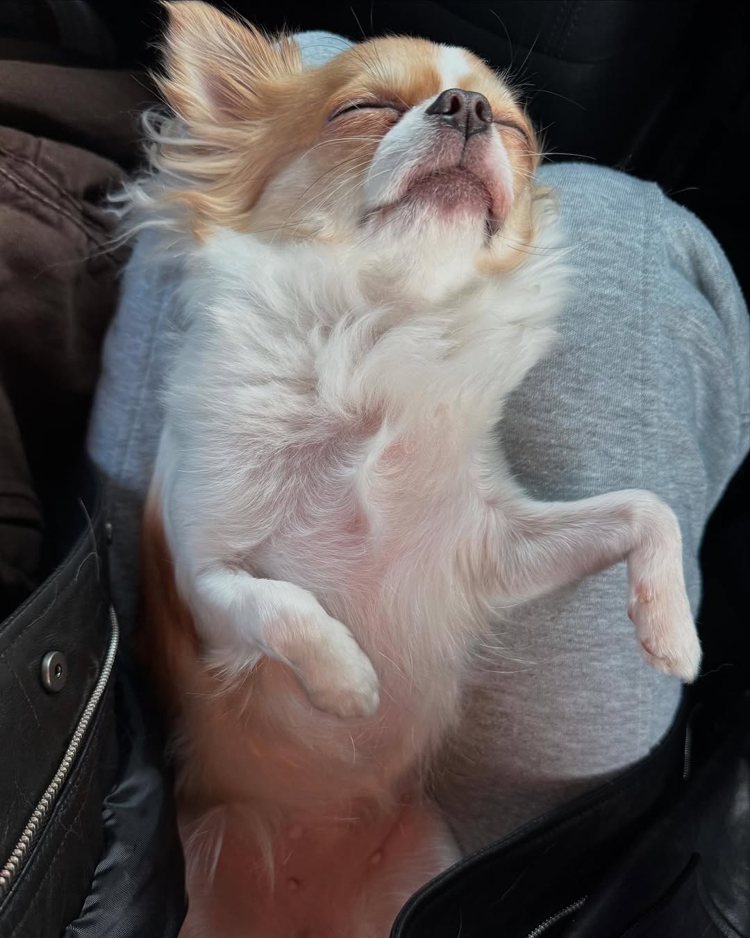 Post image  of TWICE