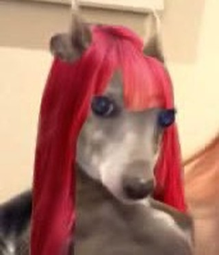 Post image  of aespa