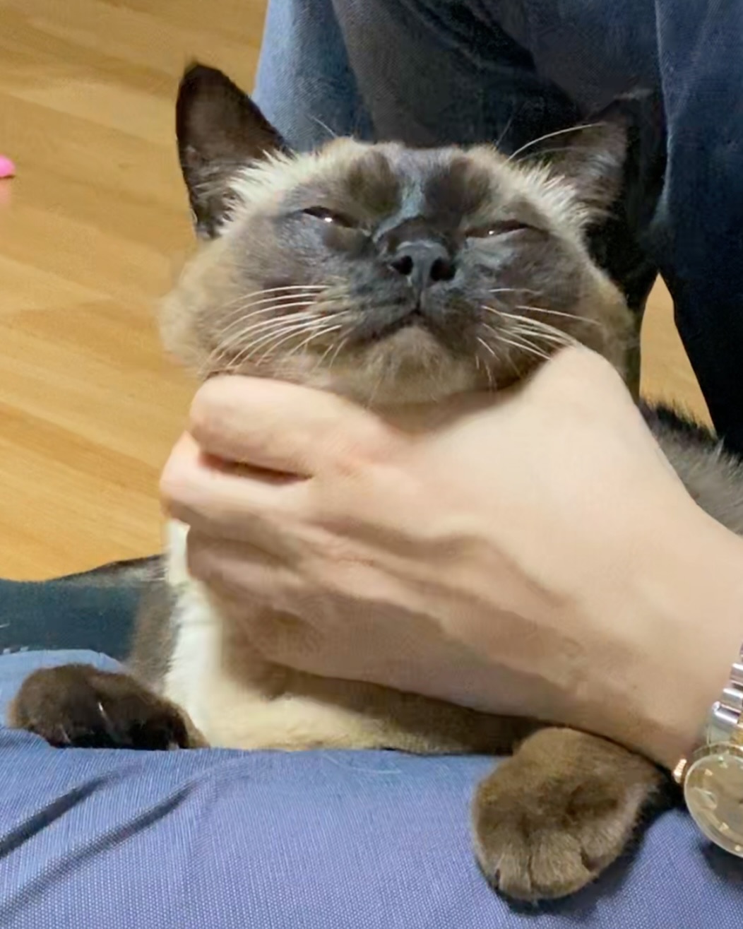 Post image  of ITZY