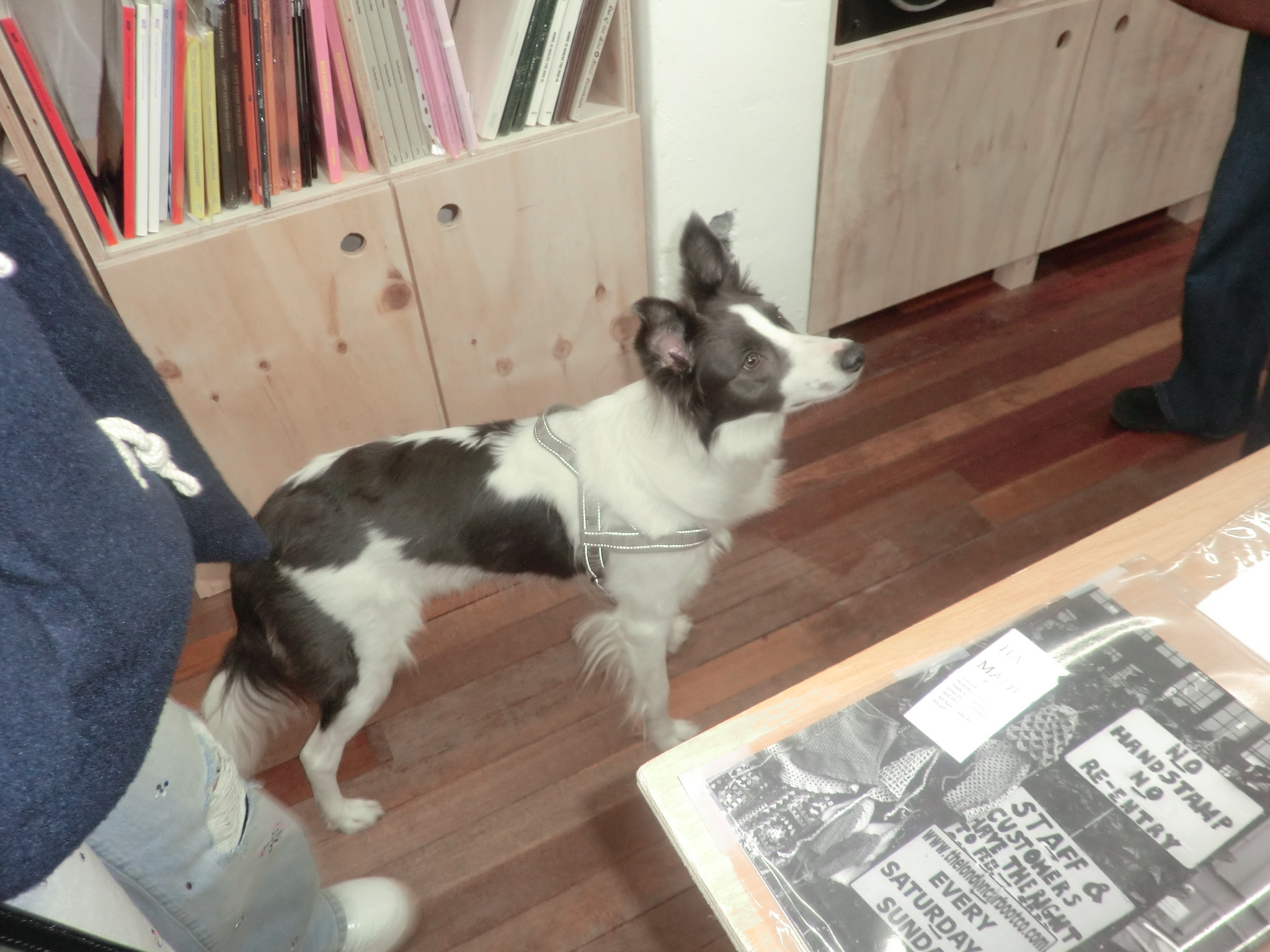 Post image  of ILLIT