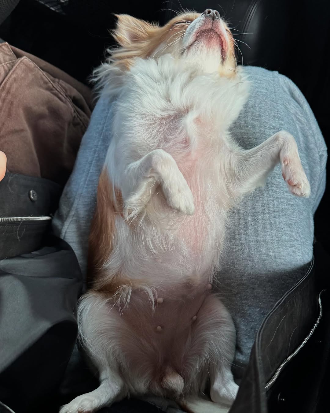 Post image  of TWICE