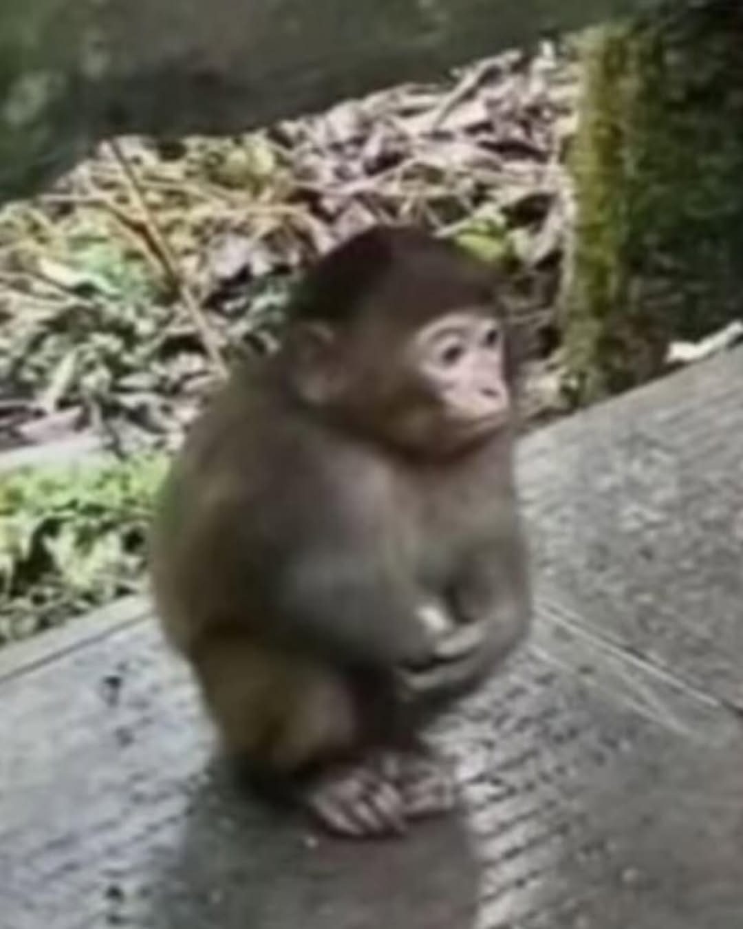 Post image  of aespa