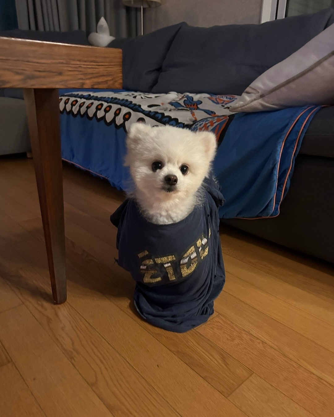 Post image  of ITZY