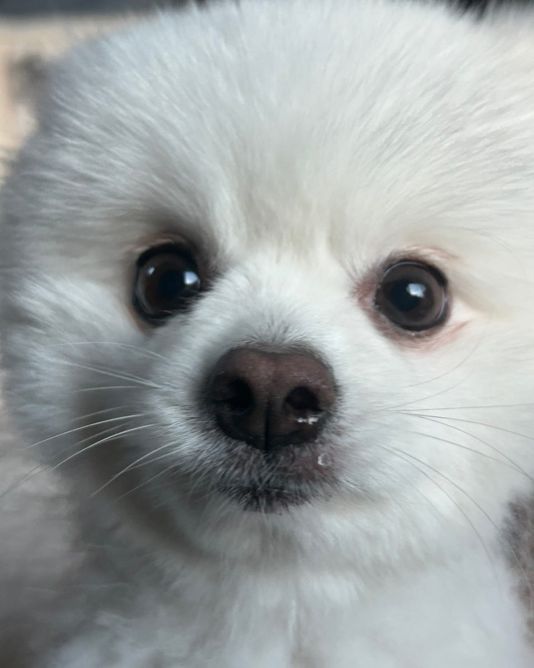Post image  of ITZY