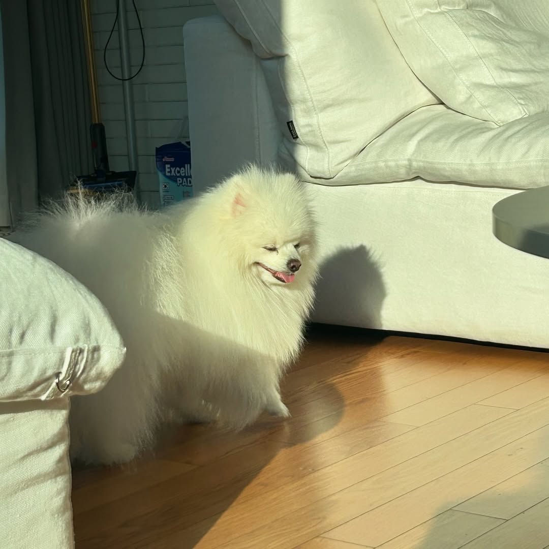 Post image  of ITZY