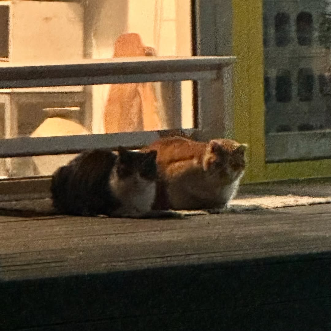 Post image  of ITZY
