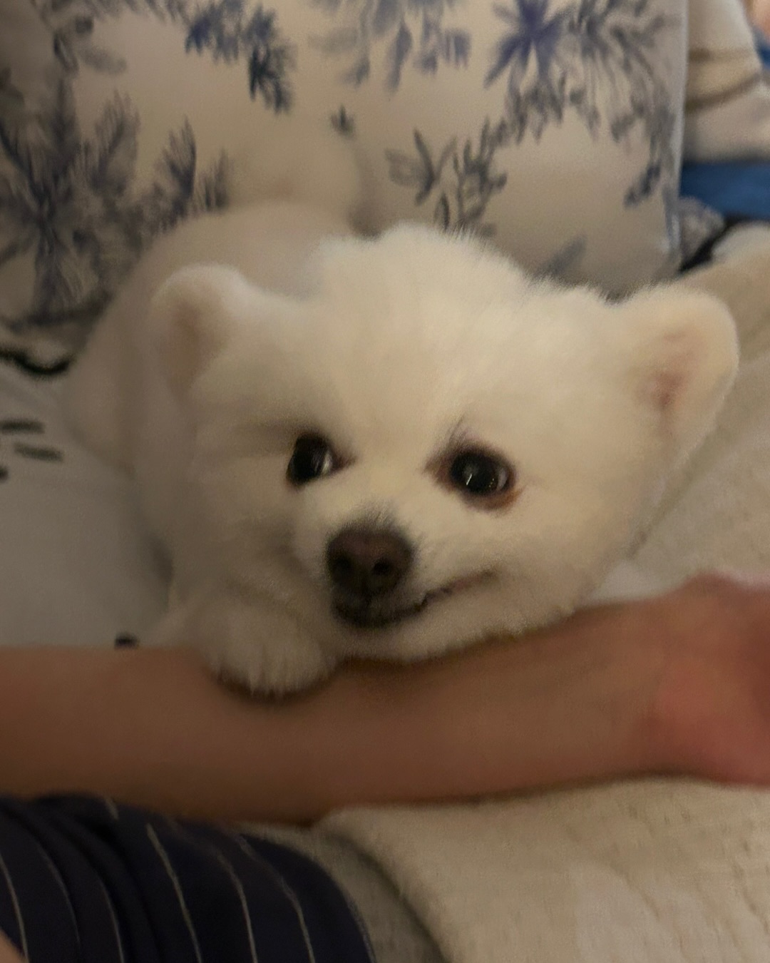 Post image  of ITZY