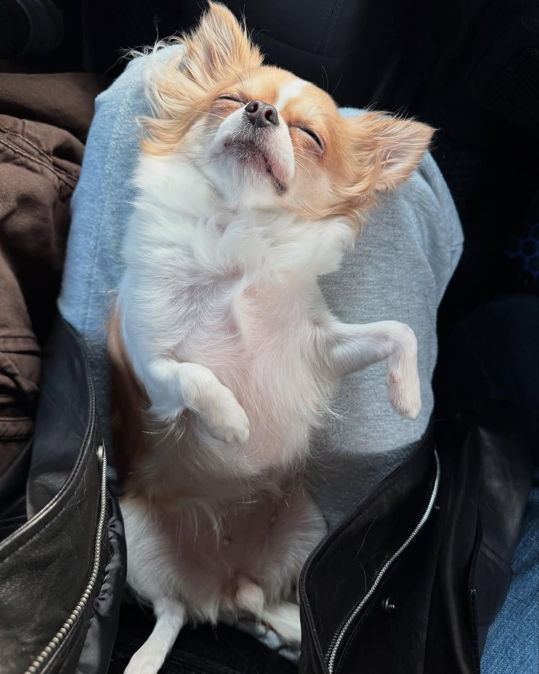Post image  of TWICE