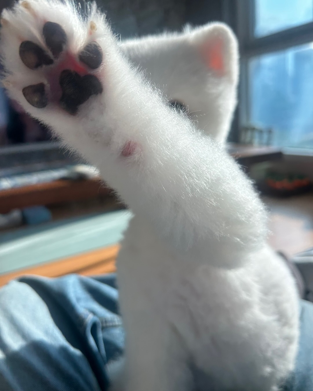 Post image  of ITZY