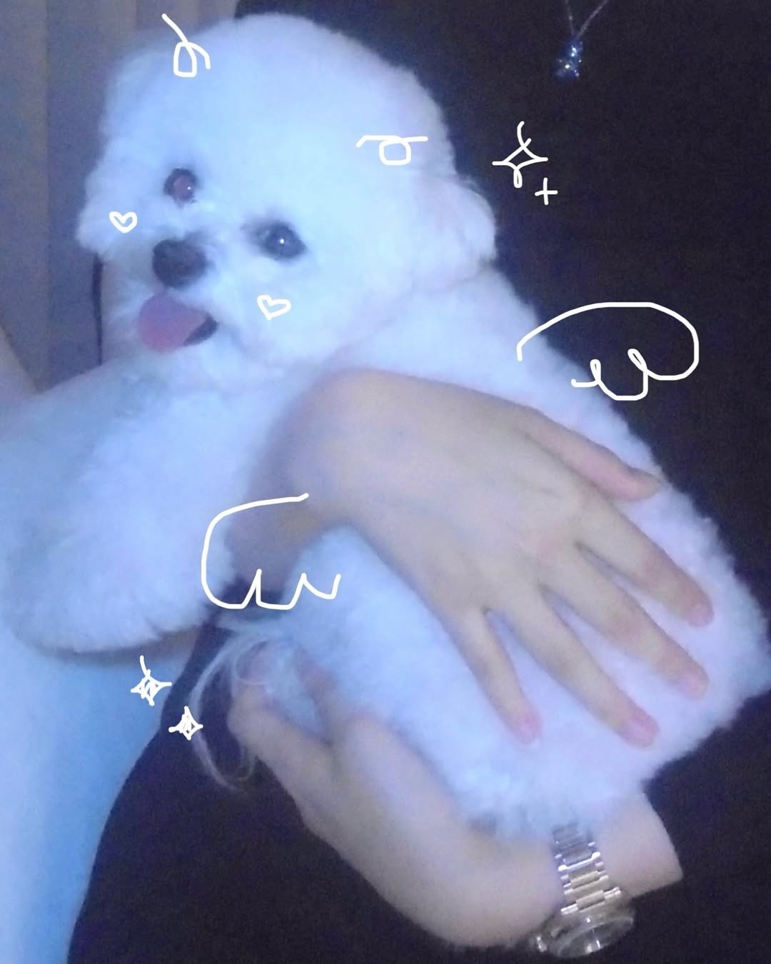 Post image  of IVE